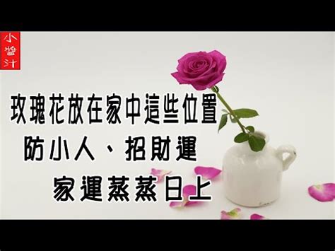 房間放玫瑰|【房間放玫瑰】鏡子絕對不能放在1禁地 